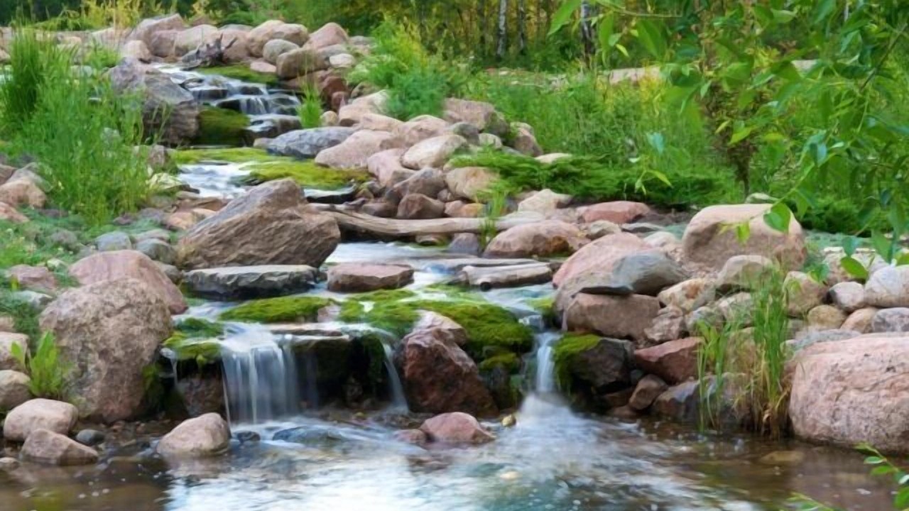 Photo of Outdoor in Fowler Lake
