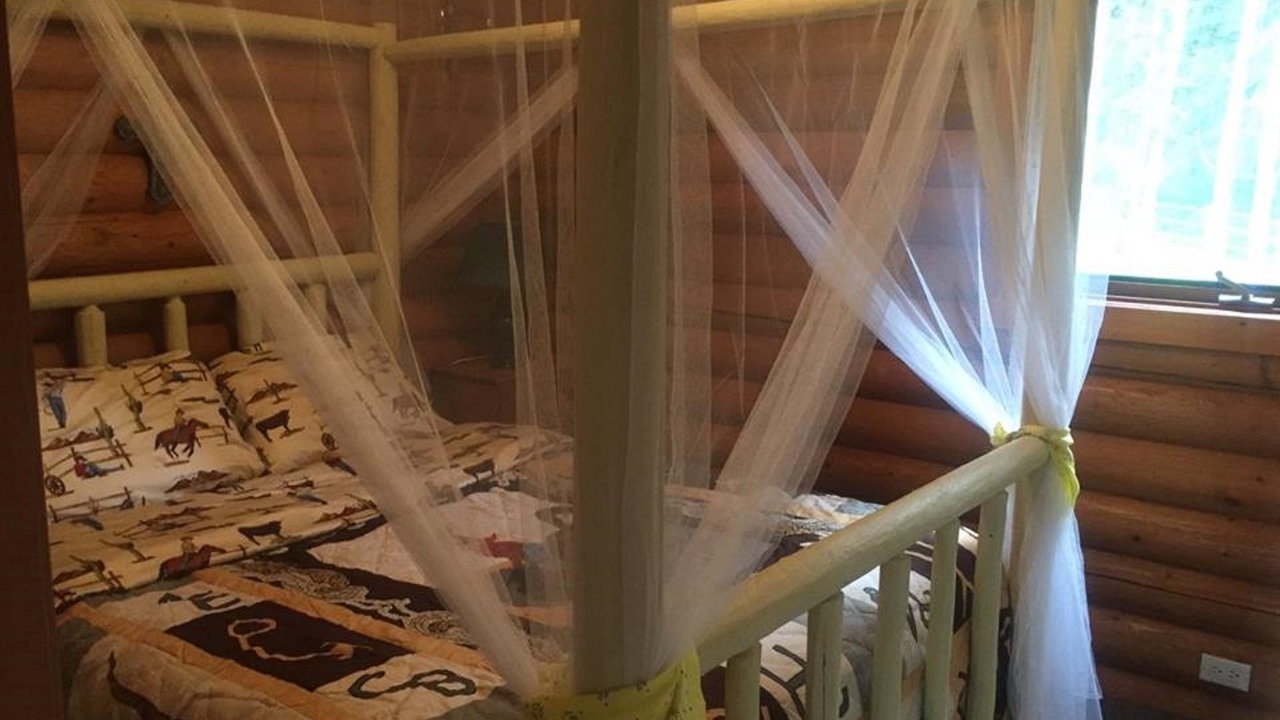 Photo of Bathroom in Bridge Lake