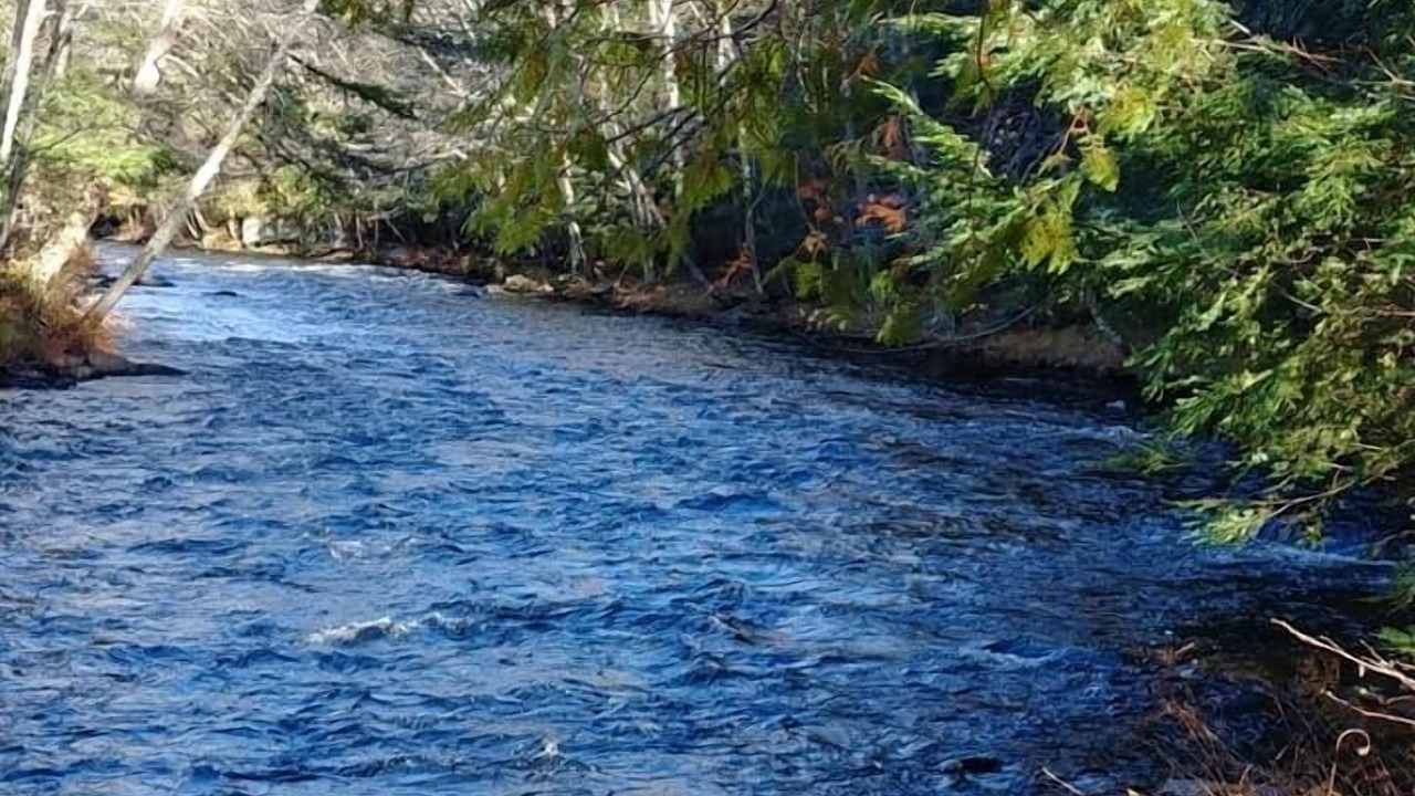 Photo of Outdoor in Dwight
