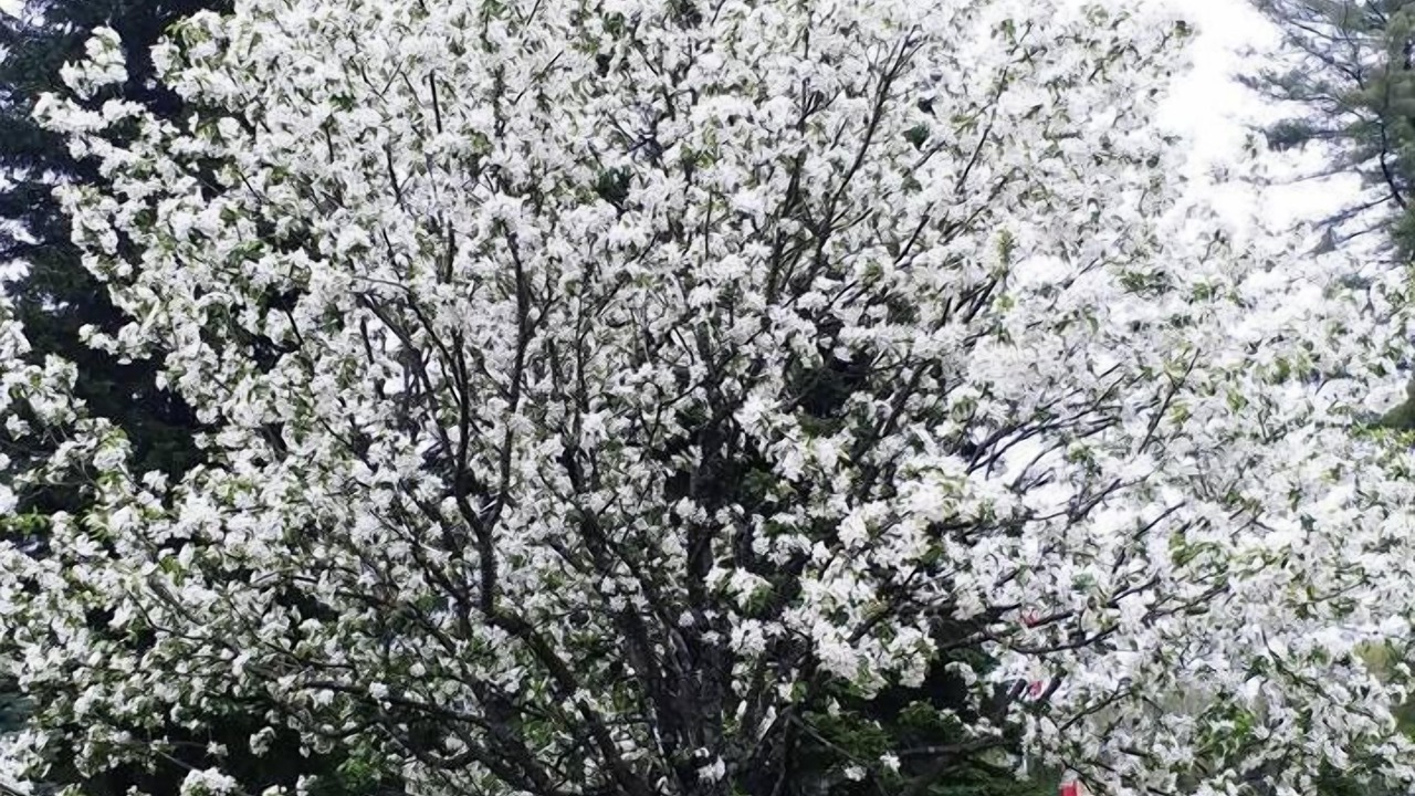 Photo of Outdoor in Dwight