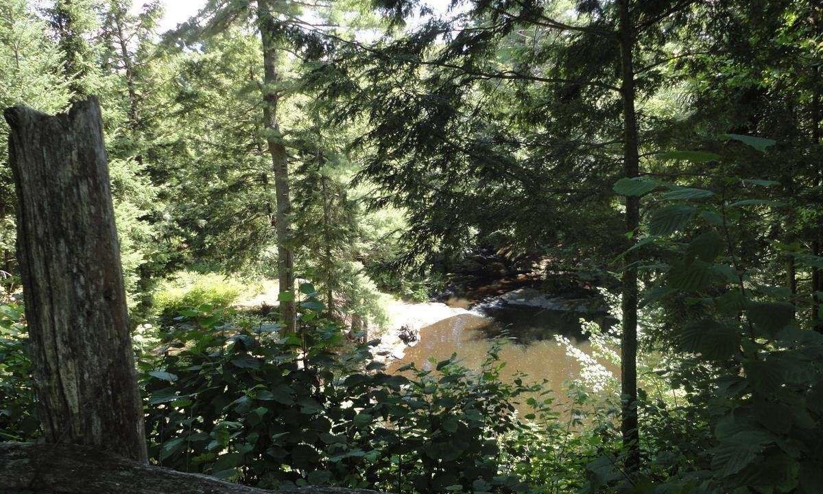 Photo of Outdoor in Dwight
