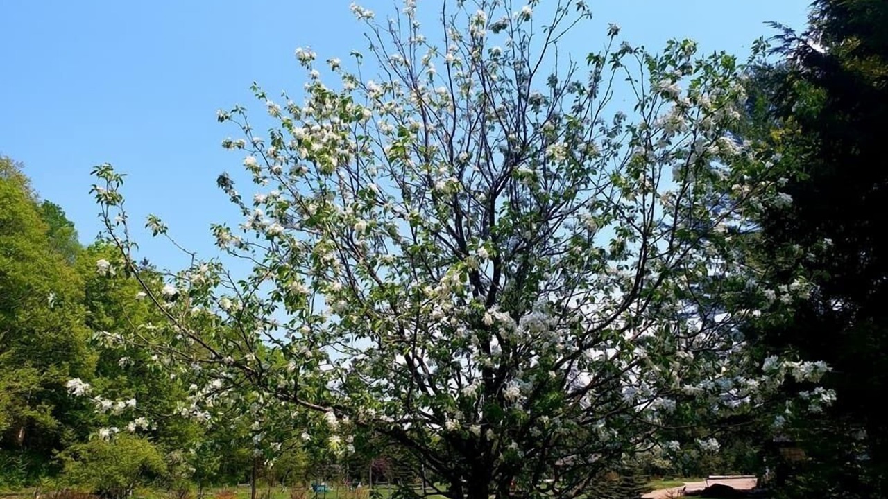 Photo of Outdoor in Dwight