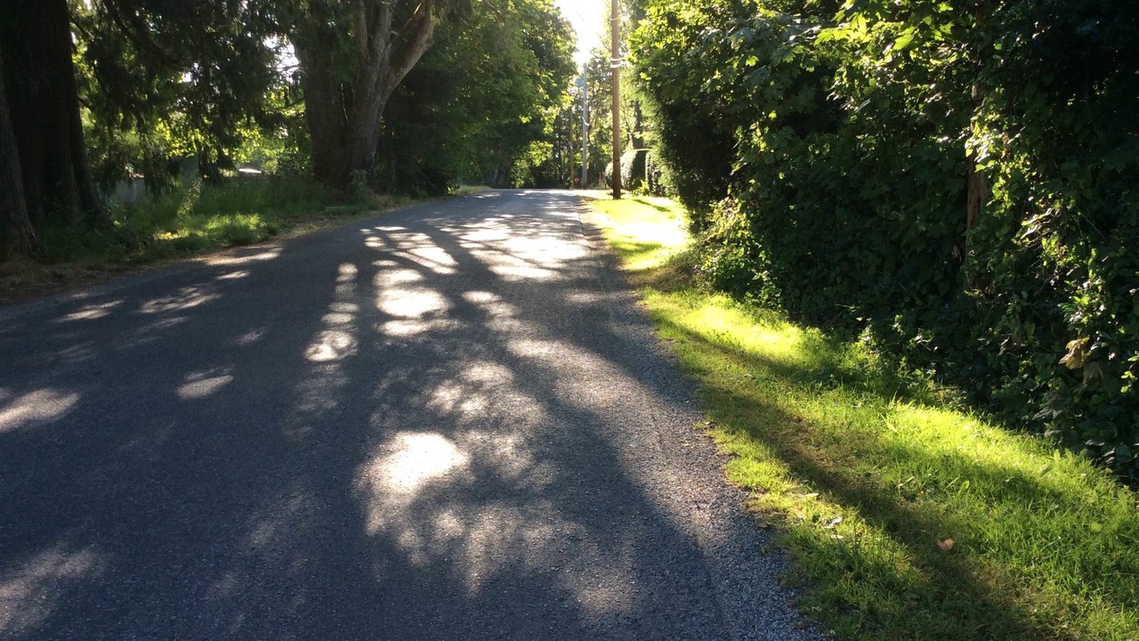 Photo of Outdoor in North Saanich