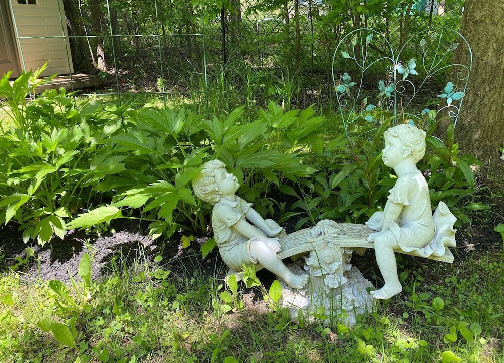 Photo of Outdoor in Tay