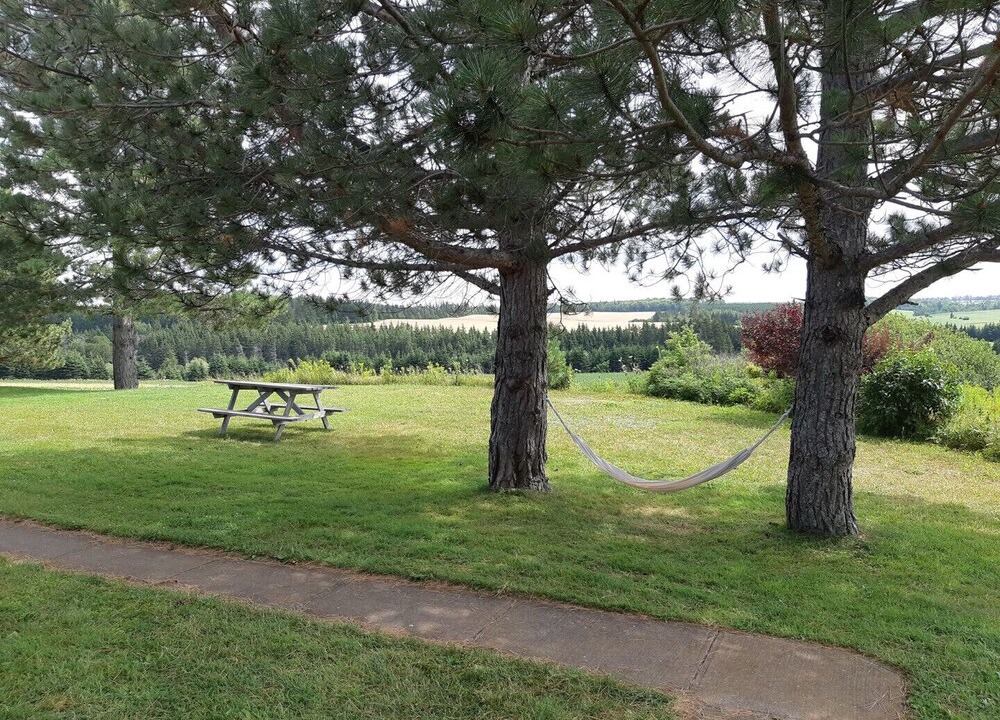 Photo of Outdoor in New London