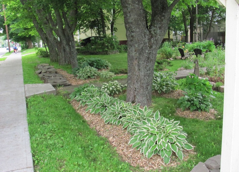 Photo of Outdoor in North Sydney