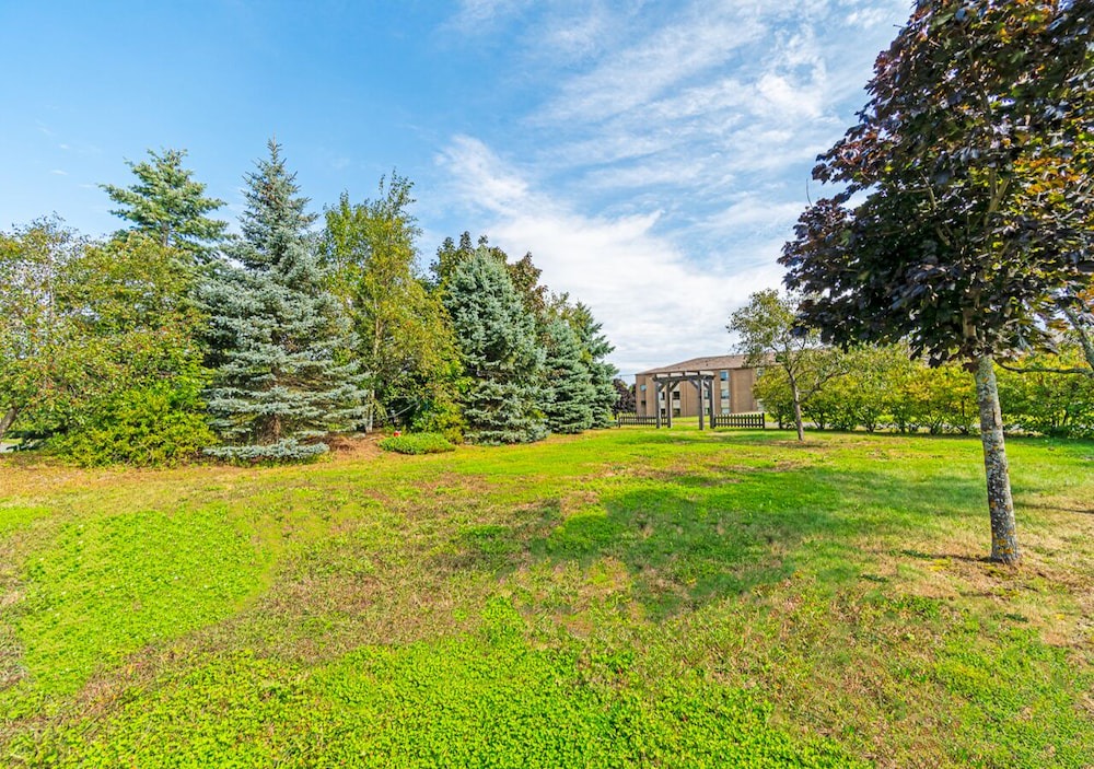 Photo of Outdoor in New Minas