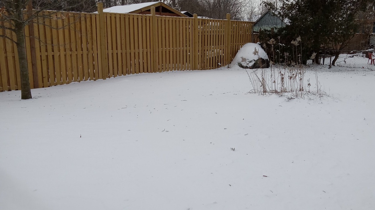 Photo of Outdoor in Alcona