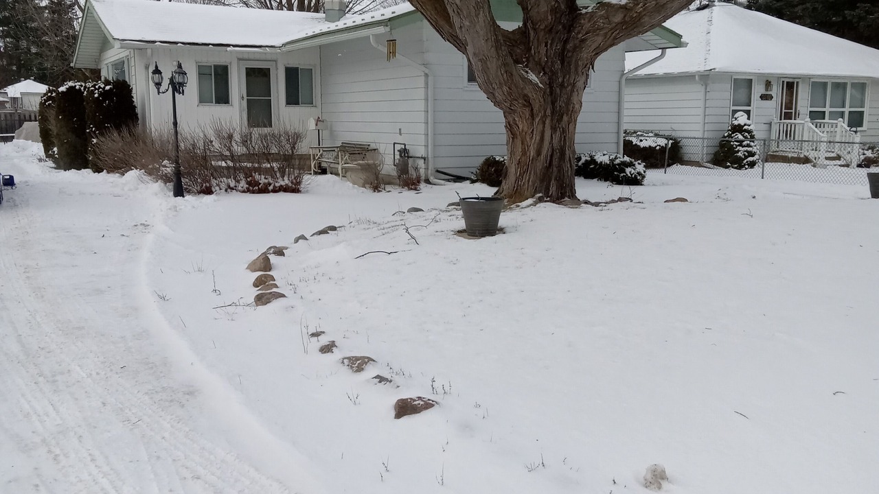 Photo of Outdoor in Alcona