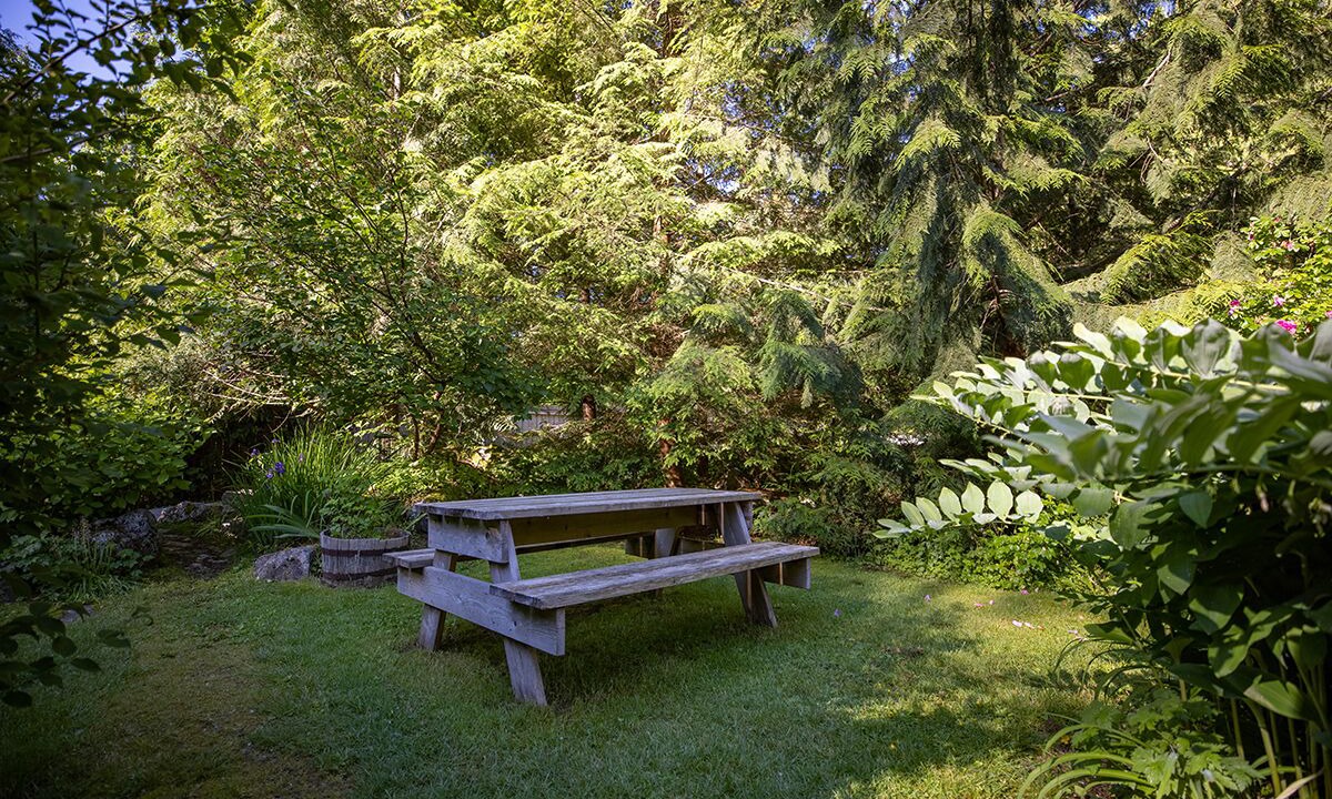 Photo of Outdoor in Woodfibre
