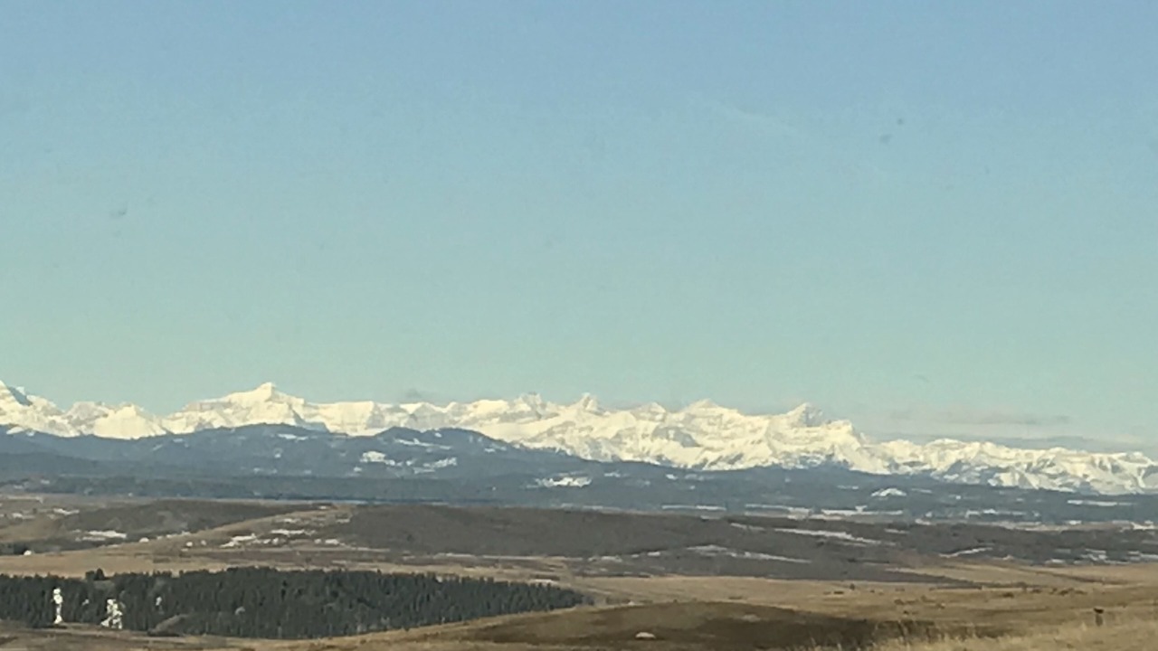 Photo of Others in Calgary