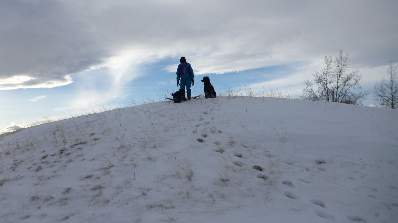 Photo of Others in Calgary