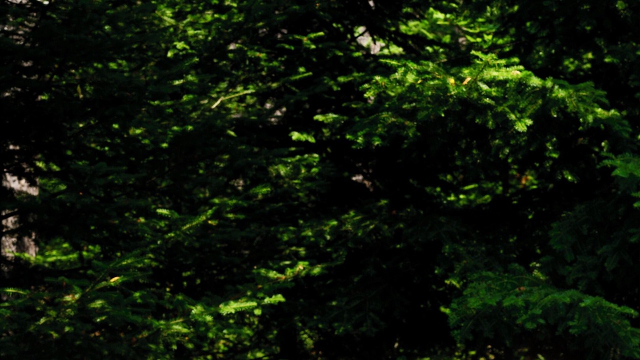 Photo of Outdoor in Saint-Philemon