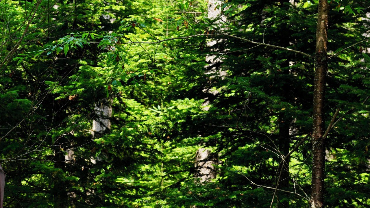 Photo of Outdoor in Saint-Philemon