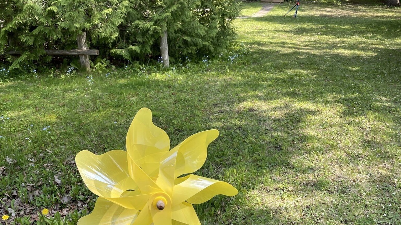 Photo of Outdoor in Alcona