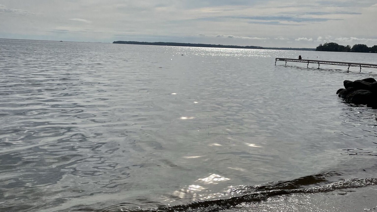 Photo of Others in Alcona