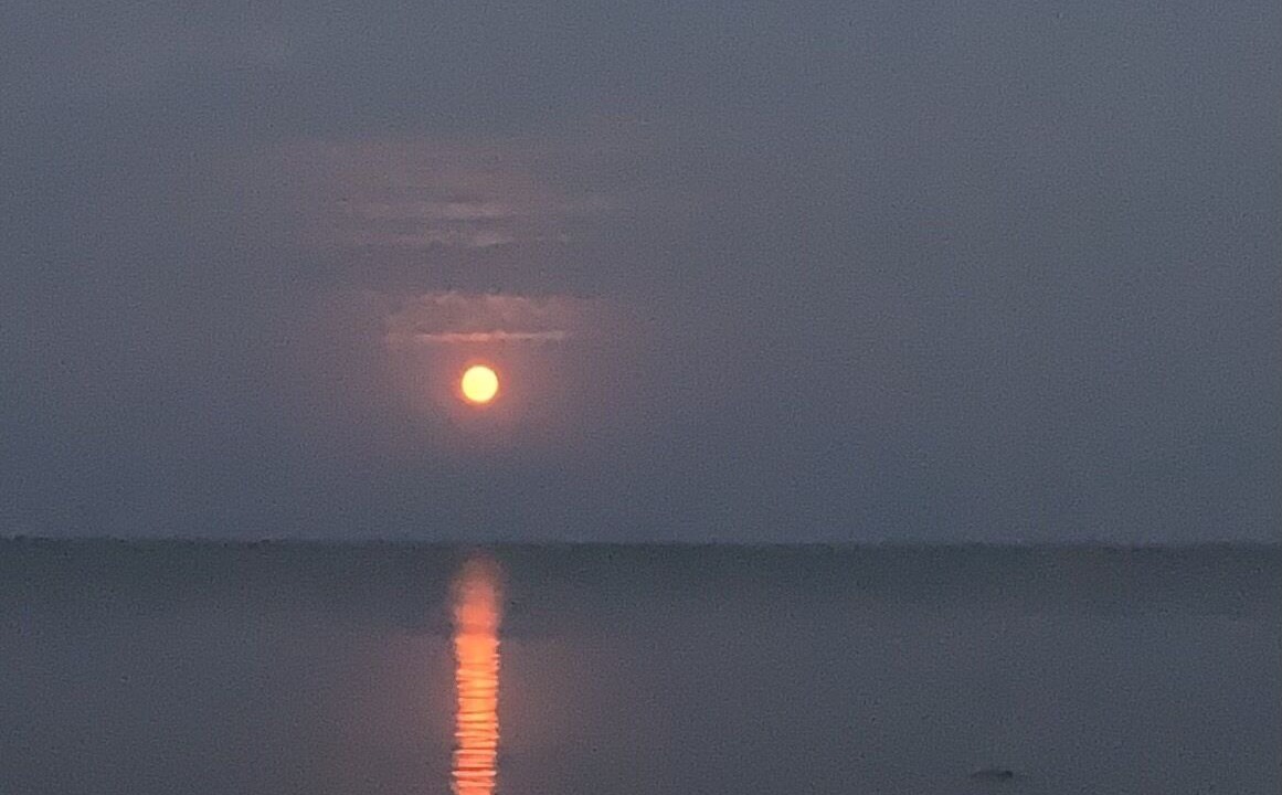 Photo of Others in Gimli