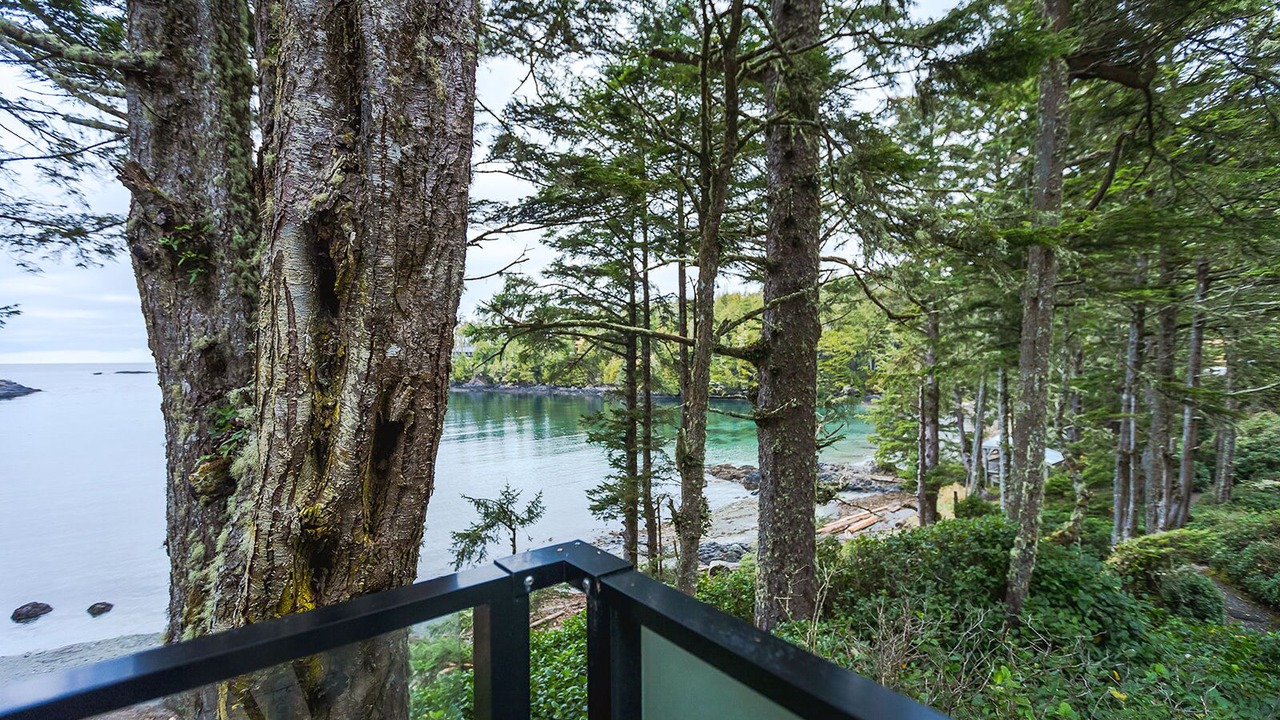 Photo of Outdoor in Ucluelet
