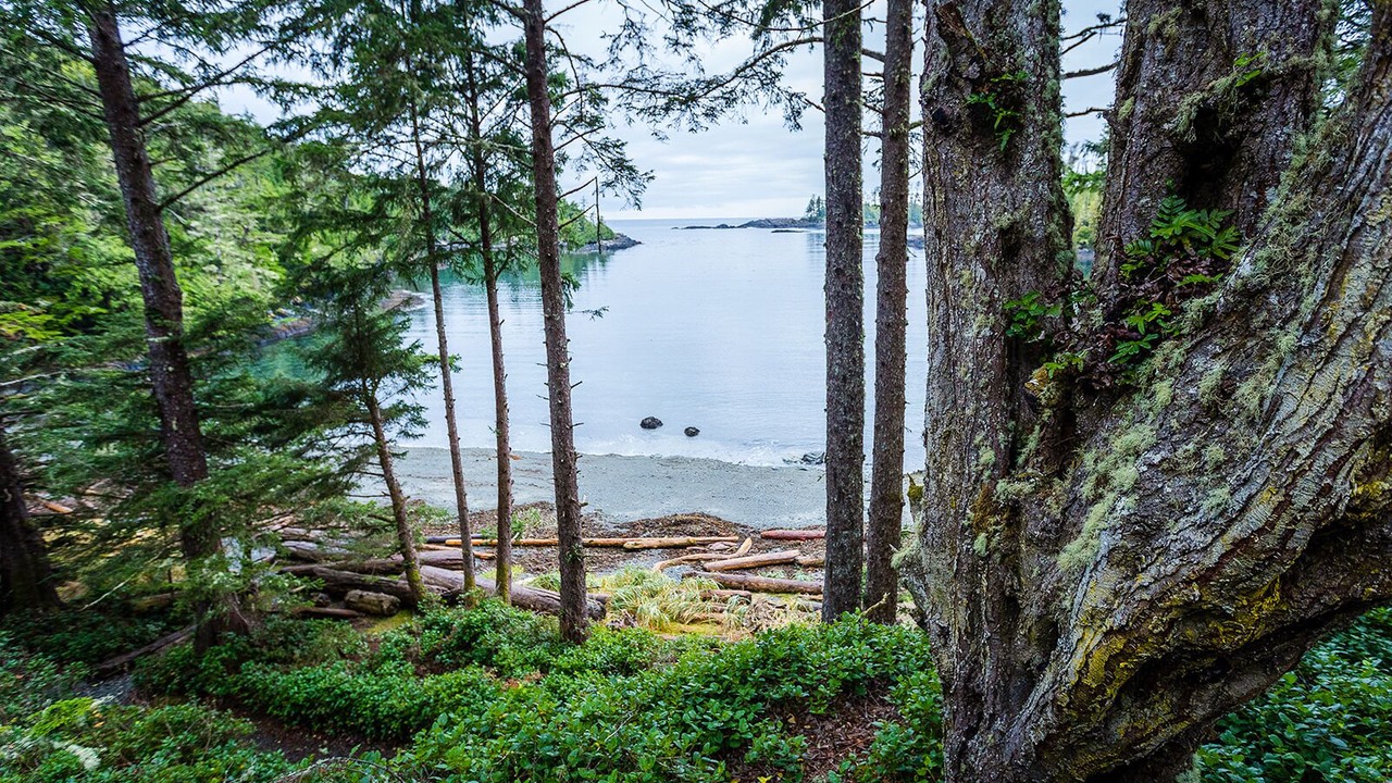 Photo of Others in Ucluelet
