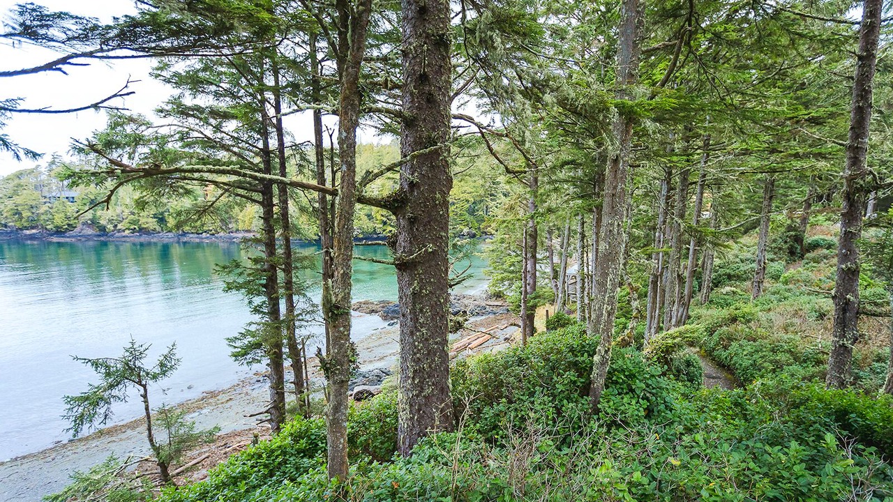 Photo of Others in Ucluelet