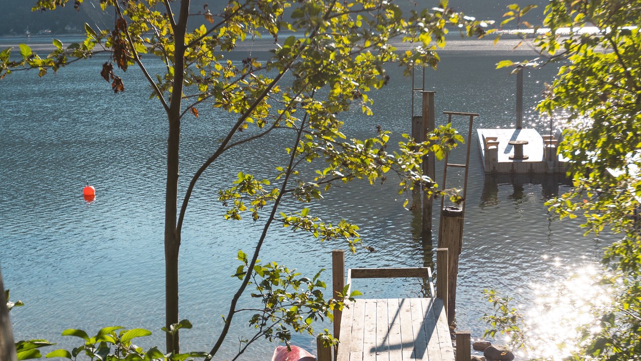 Photo of Outdoor in Nelson