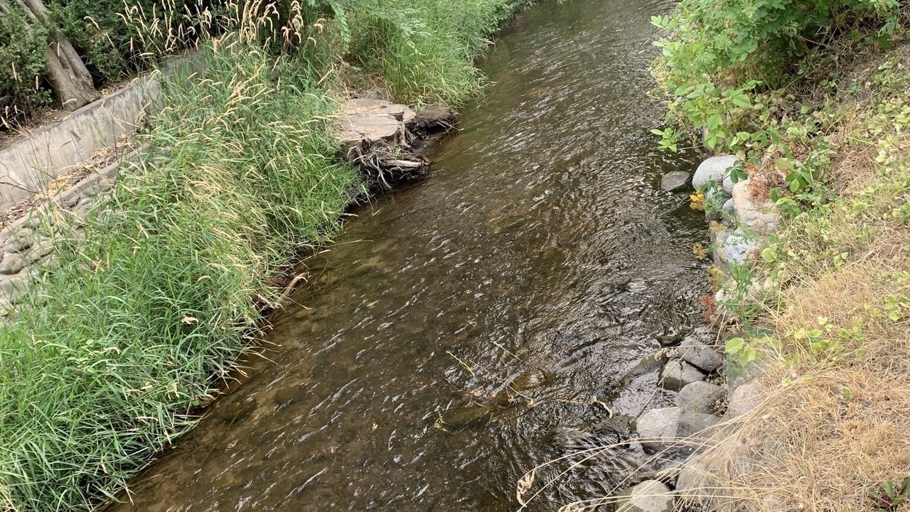 Photo of Outdoor in South Central