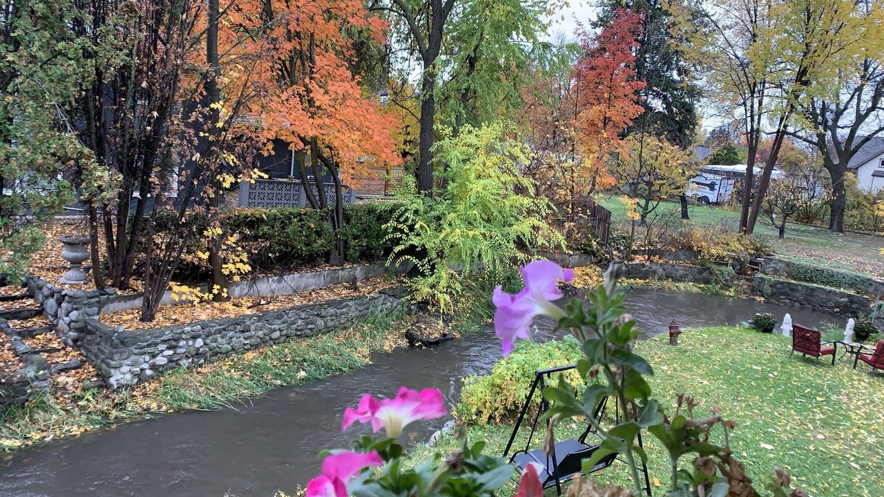 Photo of Outdoor in South Central