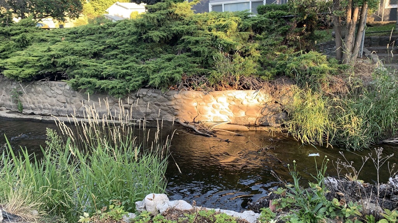 Photo of Outdoor in South Central