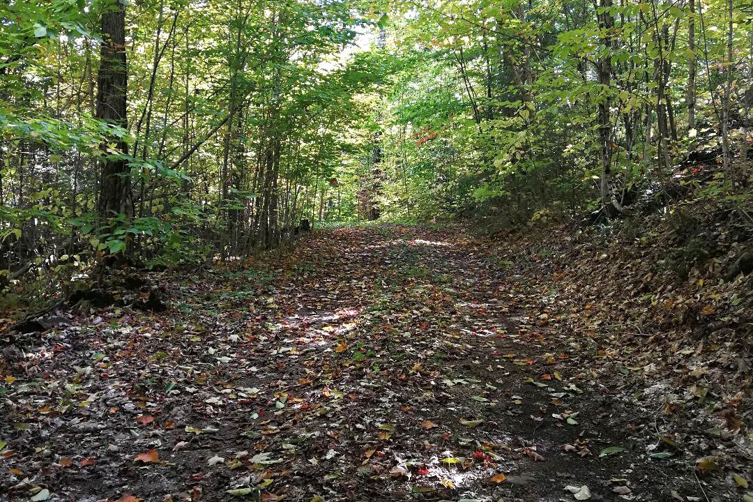 Photo of Others in Algonquin Highlands