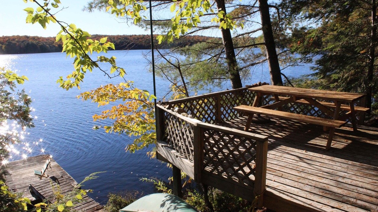 Photo of Outdoor in Algonquin Highlands