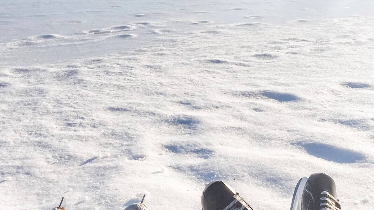 Photo of Outdoor in Trent Lakes