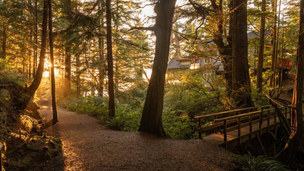 Photo of Outdoor in Ucluelet
