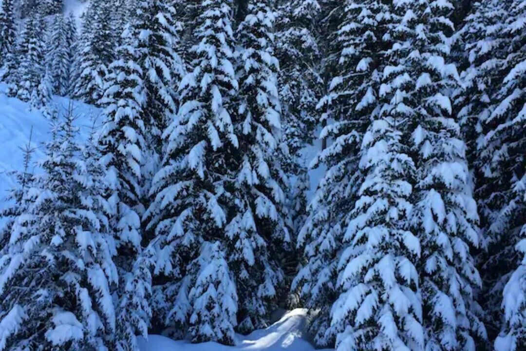 Photo of Outdoor in Laion