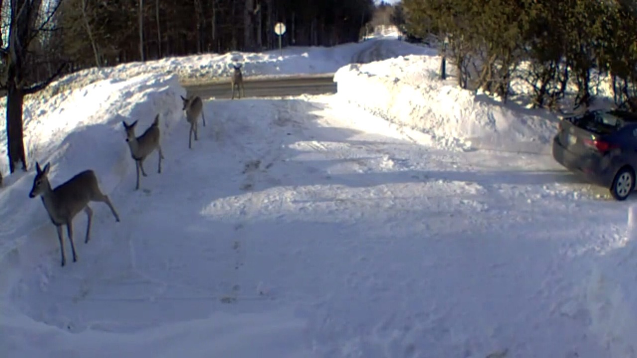 Photo of Others in Eagle Lake