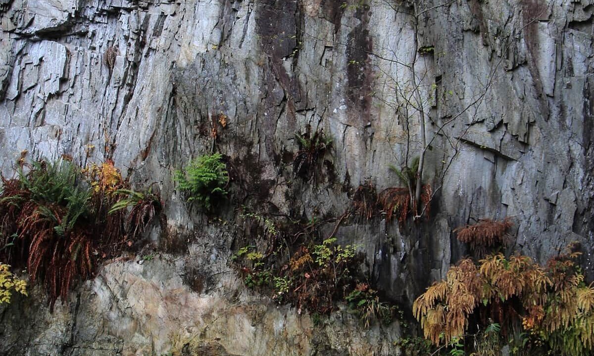 Photo of Others in Bowen Island