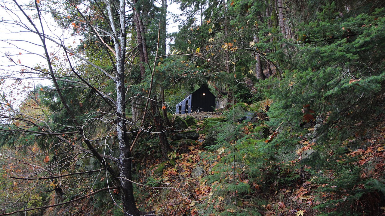 Photo of Others in Bowen Island