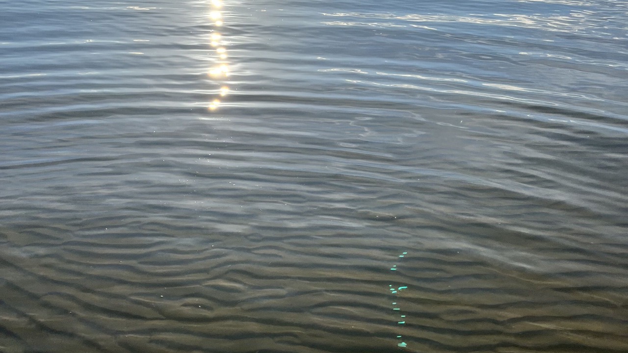 Photo of Others in Alberta Beach