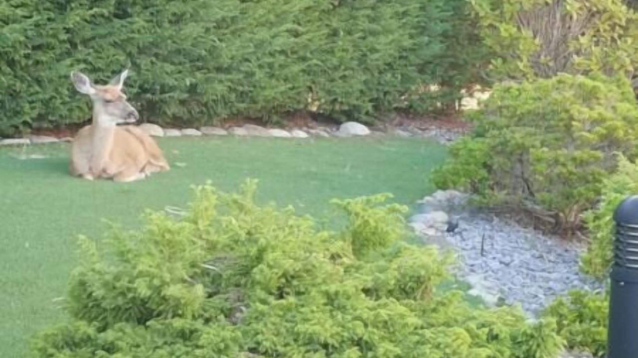 Photo of Outdoor in Regional District of Nanaimo