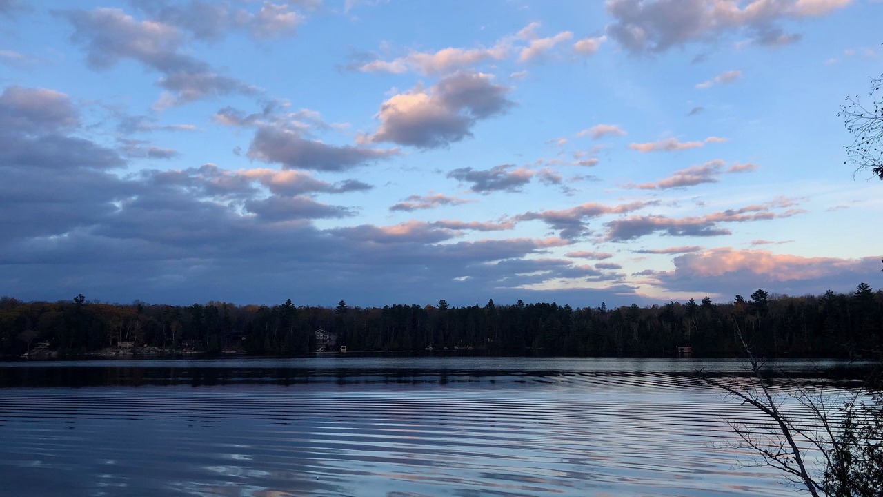 Photo of Outdoor in Trent Lakes