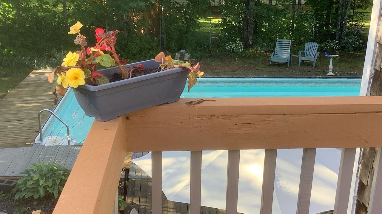Photo of Outdoor in Shediac