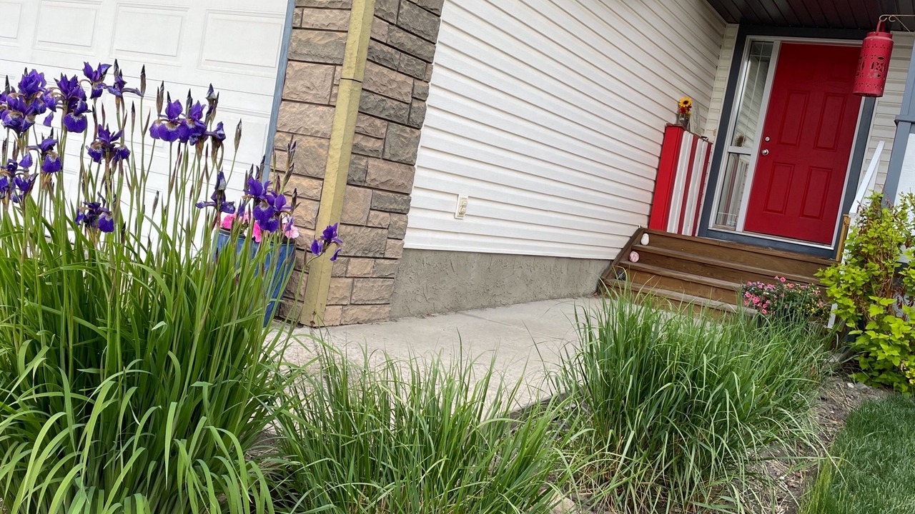 Photo of Others in Southwest Calgary