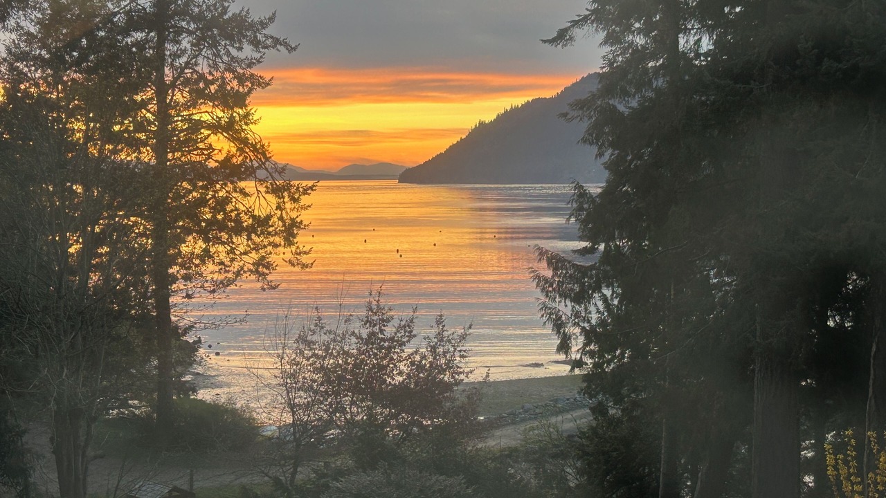 Photo of Others in Mayne Island