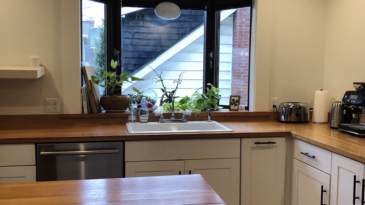 Photo of Kitchen in Nelson