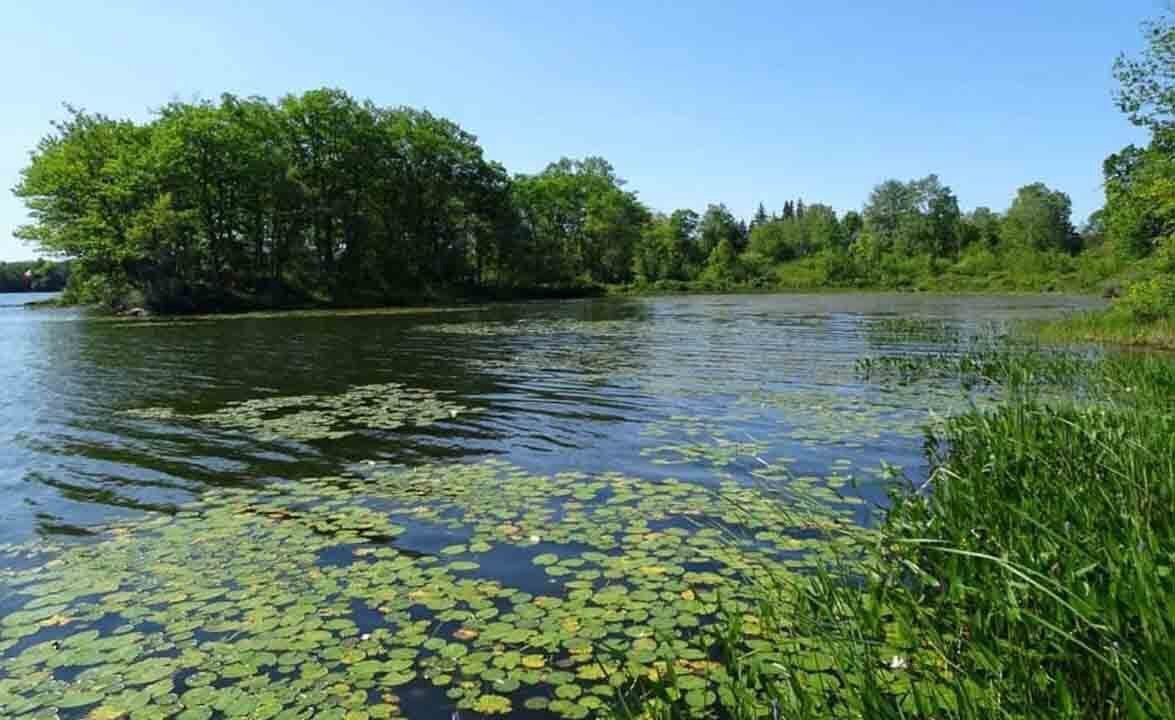 Photo of Others in Central Frontenac
