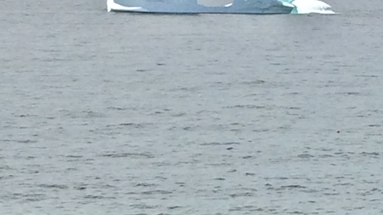Photo of Others in Bonavista