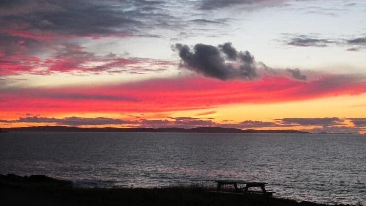 Photo of Others in Bonavista