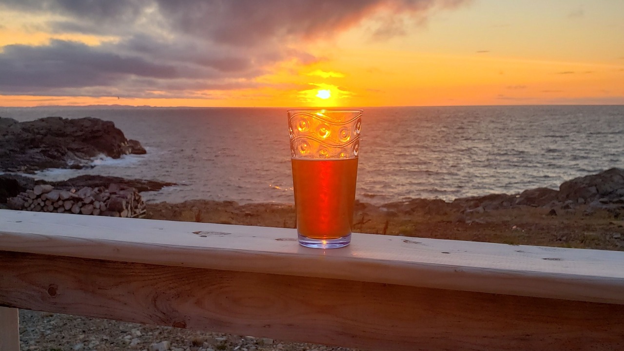 Photo of Others in Bonavista