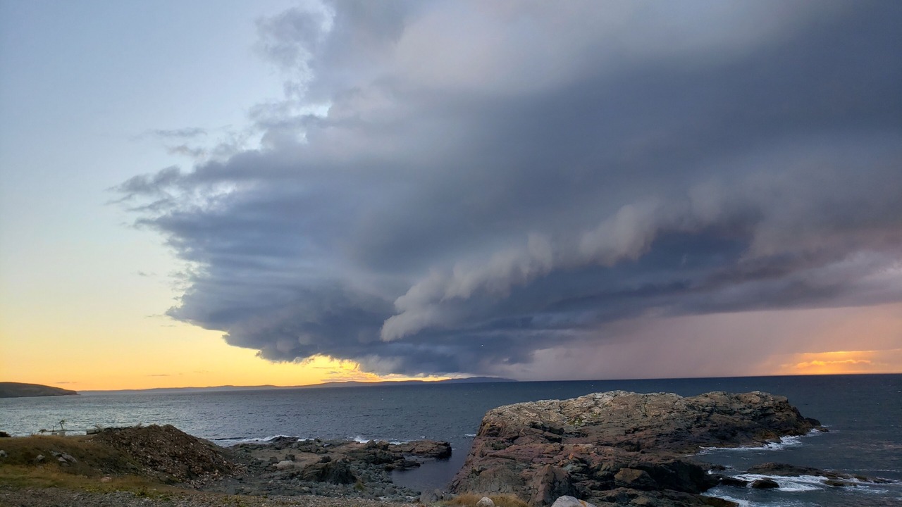 Photo of Others in Bonavista