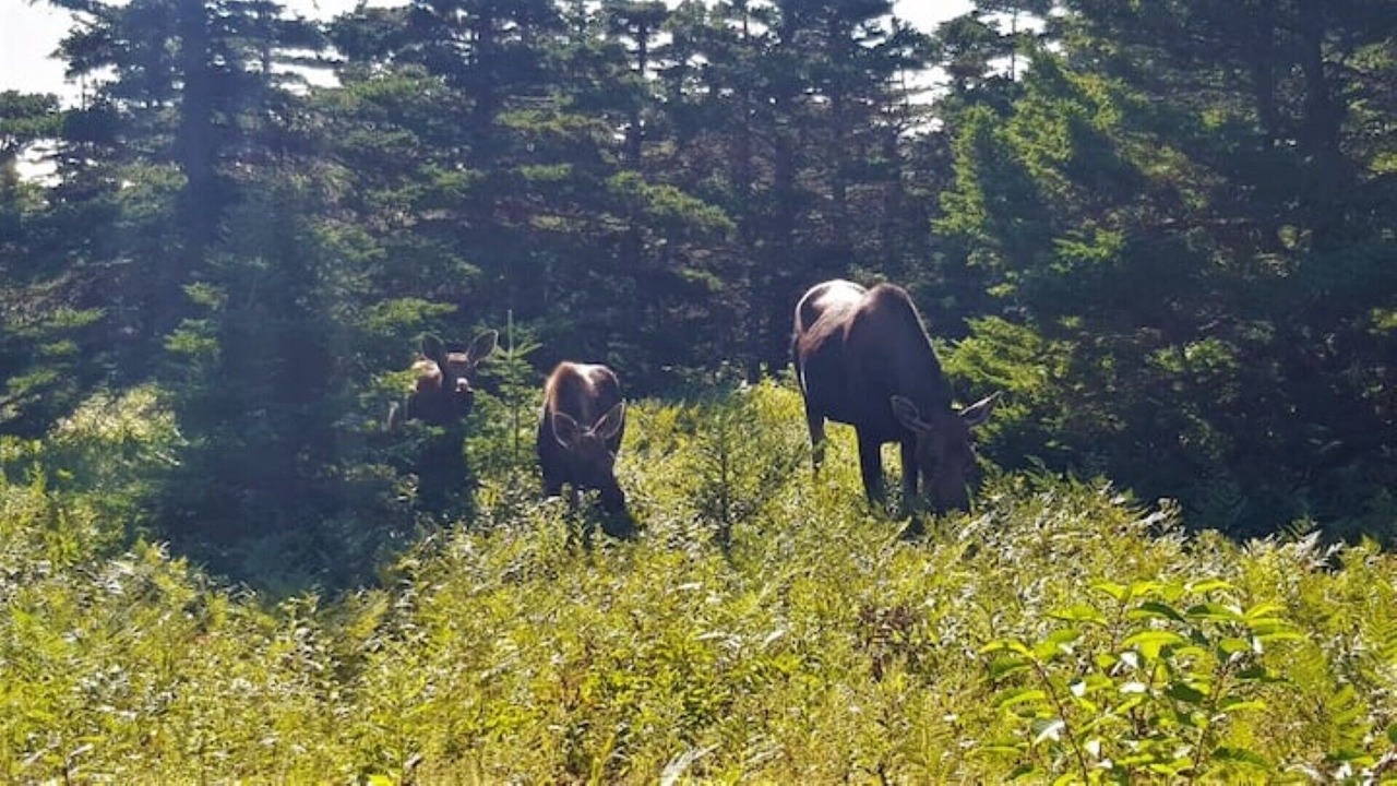 Photo of Outdoor in West Bay