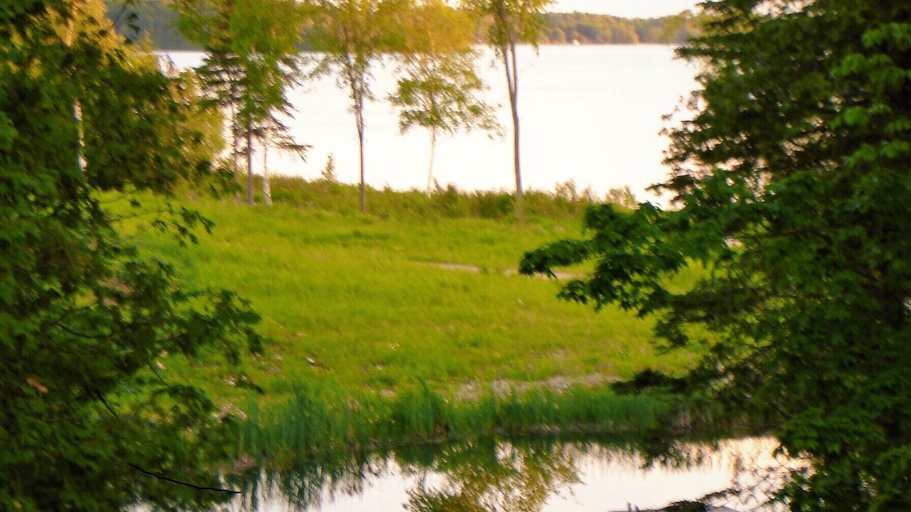 Photo of Outdoor in Grey Highlands